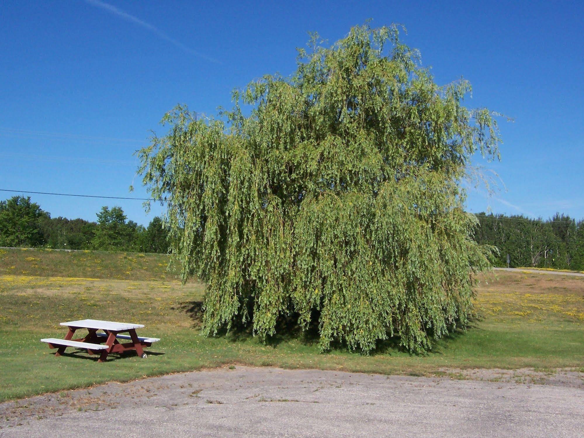 Manitowaning Wayside Motel Manitoulin المظهر الخارجي الصورة